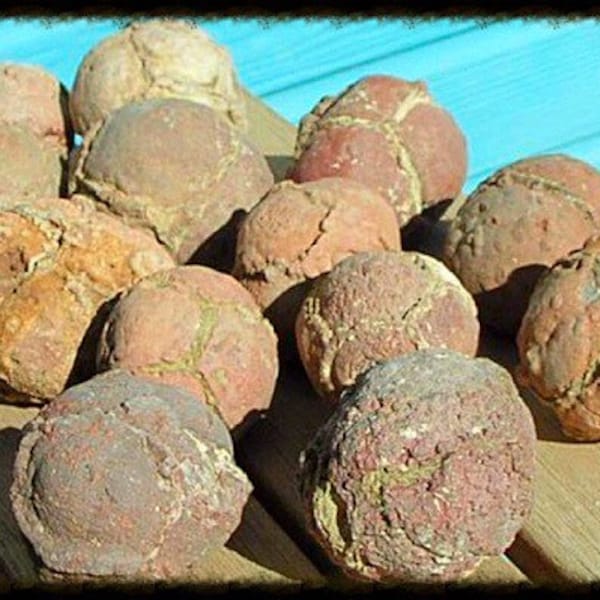 Thunder Eggs from Madras, Oregon