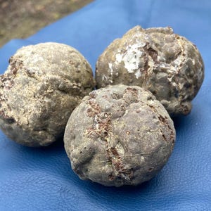 3 pack Thundereggs from Madras, Oregon, Thunder Egg