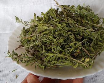 Wild winter savory from Bulgaria, Dry winter savoury, Savory Montana, Satureja montana, winter savoury, European wild winter savory