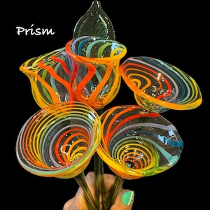 May include: A collection of five hand-blown glass flowers featuring clear glass with swirling stripes in vibrant orange, yellow, blue, and green. Each flower has a trumpet-shaped bloom attached to a green glass stem. The word Prism is visible.