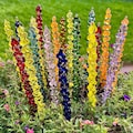Stained Glass Snapdragon Garden Stake: Colorful Flower Bouquet, handcrafted glass art garden accent, Father's Day gift in glass art