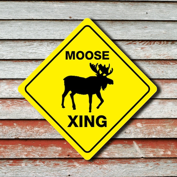 MOOSE CROSSING Funny Novelty Crossing Sign 12x12 - Etsy Canada