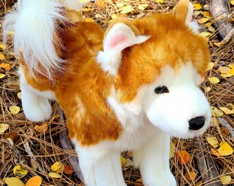 stuffed husky plush
