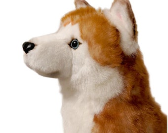 stuffed animal dog