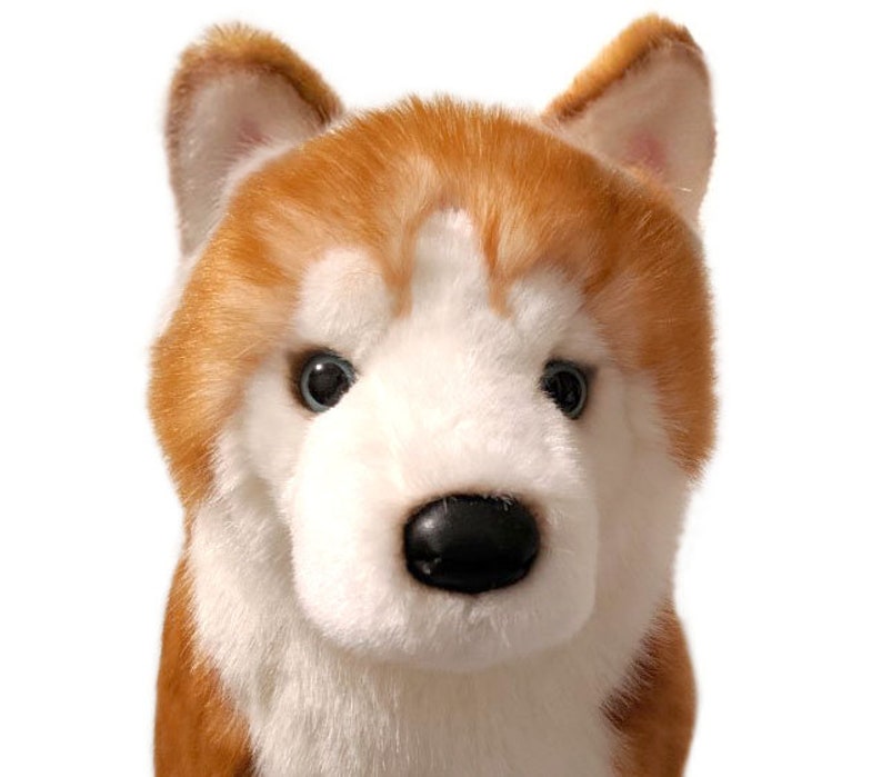 Husky Dog Plush Stuffed Animal by Douglas Cuddle Toys Etsy