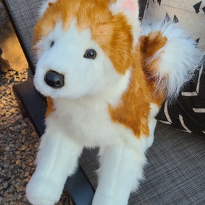 plush husky puppy