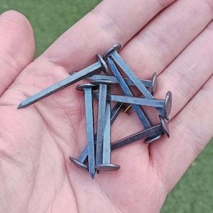 May include: A close-up of a hand holding a pile of blue and silver metal nails. The nails have a pointed tip and a flat head.