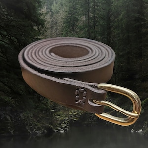May include: A brown leather belt with a gold metal buckle. The belt is rolled up and the buckle is visible.