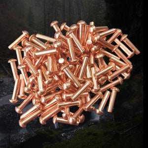 May include: A large pile of copper rivets with a rounded head. The rivets are shiny and have a metallic finish.