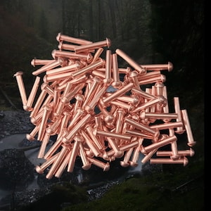May include: A large pile of copper rivets, each with a rounded head. The rivets are arranged in a random pattern, with some overlapping. The rivets are a shiny copper color.