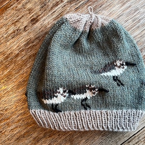 May include: A green knitted beanie with a brown and white bird design. The beanie has a brown brim.