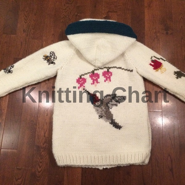 Knitting Chart for Hummingbird Sweater