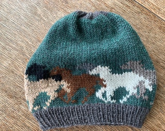 Cgi03T-2 Fashion Knitting Hat for Unisex Horseback Riding Horse Ski Cap Cgi03T-2 Fashion Knitting Hat for Unisex Horseback Riding Horse Ski Cap