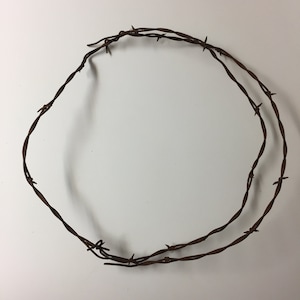 May include: A rusty, brown barbed wire circle, with multiple strands of wire, on a white background.