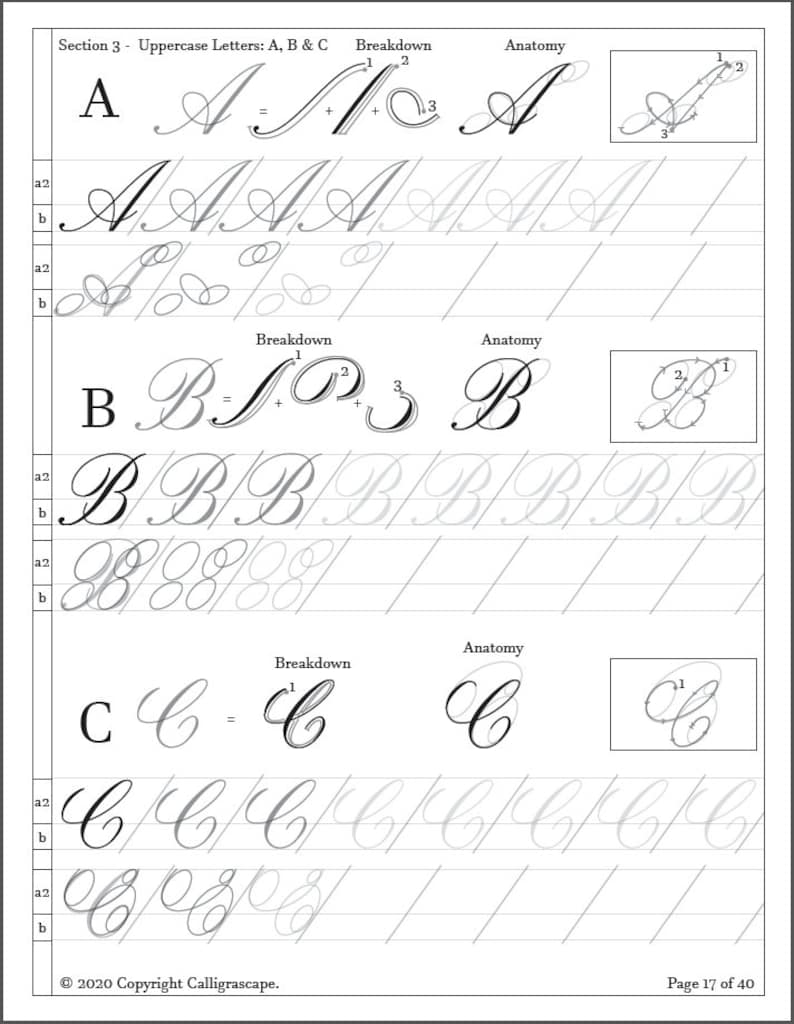 Master Class Copperplate Practice Sheets: From Basic Strokes to Complete Compositions image 3