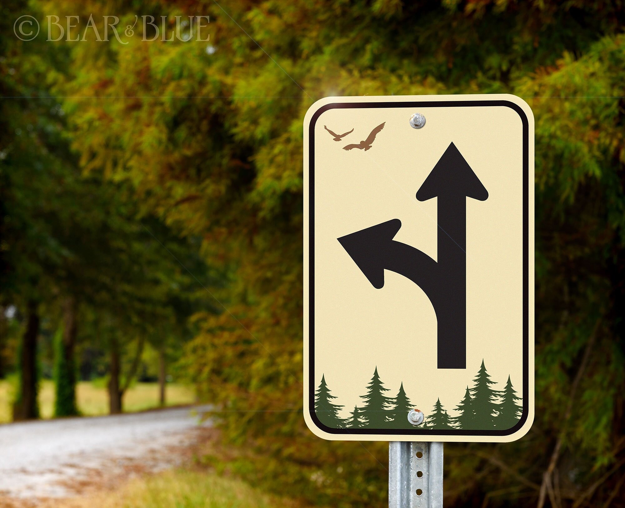 40 STYLES Aluminum Outdoor Signs Warn of Intersections Ahead Etsy