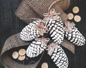 Spruce cone ornament, real Christmas tree cone, white painted cones, natural, rustic home decor, party, Christmas, wedding, DIY craft