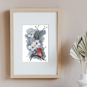 House Finch on a Dogwood Branch - Watercolor Painting - Print