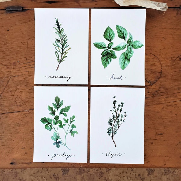 Watercolor Herbs 4 Piece Set - Rosemary, Basil, Parsley, Thyme, Dill, Cilantro, Sage, & Oregano Herb Garden - Kitchen and Dining Wall Art