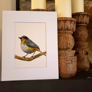 Original Common Yellowthroat Warbler Watercolor Painting image 2