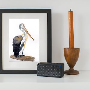 Paziente Pelican Watercolor Painting - Stampa
