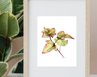 Colorful Delicate Leaves - Minimalist Watercolor Painting - Print