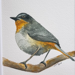 Original Common Yellowthroat Warbler Watercolor Painting image 4