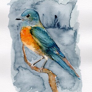 Brillante Bluebird Acquerello Pittura - Stampa