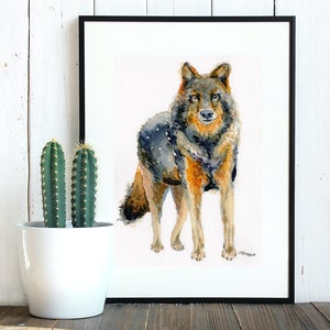 Wolf Spirit Animal Watercolor Painting - Stampa