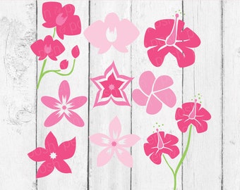 Tropical Flowers SVG - Flowers SVG - Summer SVG - Spring Svg - Beach Svg Handdrawn Flowers - Rainforest Flowers Svg - Hibiscus Flower Svg -