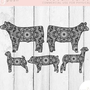 Show Animals SVG Show Pig Svg Show Goat Svg Show Lamb Show Steer Mandala Show Animals Zentangle Show Pig SVG Mandala Animal image 1