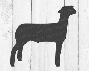 Show Lamb SVG - Show Sheep SVG - Lamb Clipart - Market Lamb - Market Lamb SVG - Lamb Cut File - Silhouette, Cricut - Show Lamb - Lamb Png