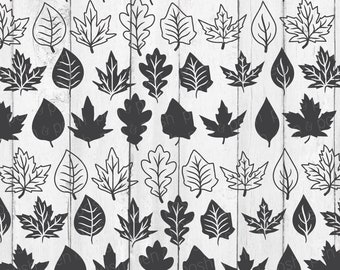 Leaf SVG - Leaves SVG - Autumn Svg - Fall Leaves Svg - Fall Svg Files - Fall Svg - Thanksgiving Svg - Maple Leaf Svg - Leaves Cutting Svg