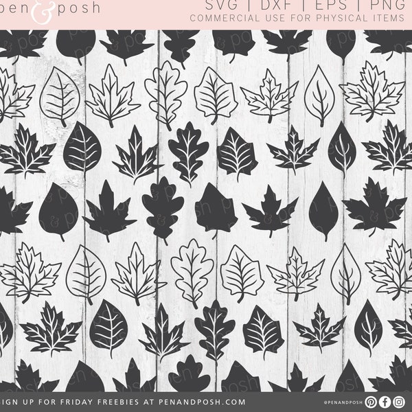 Leaf SVG - Leaves SVG - Autumn Svg - Fall Leaves Svg - Fall Svg Files - Fall Svg - Thanksgiving Svg - Maple Leaf Svg - Leaves Cutting Svg