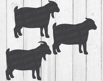 Pygmy Goat Svg - Goat Svg File - Pygmy Svg File - Goat Svg - Livestock Svg File - Show Goats Svg -Goats Svg - Cricut Svg - Pygmy Buck Svg