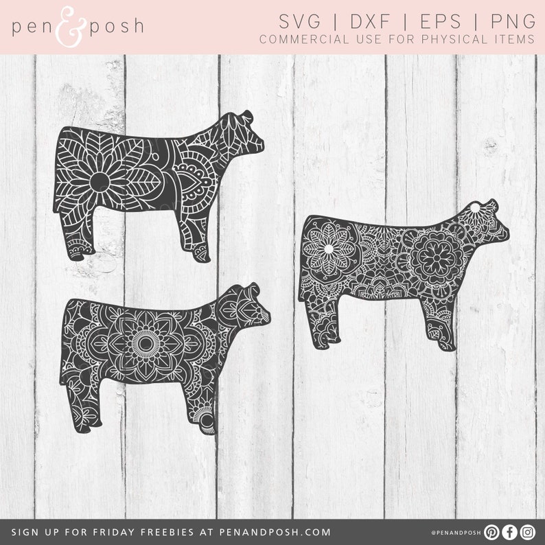 Mandala SVG Zentangle SVG Mandala Cow SVG Heifer Svg Zentangle Cow Svg Cow Svg Mandala Animal Svg Zentangle Animal show heifer image 1