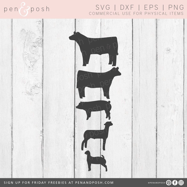 Show Animal Bundle SVG Show Pig SVG Show Cattle Show Steer Show Heifer Show Goat Farm Animals SVG Clipart image 1