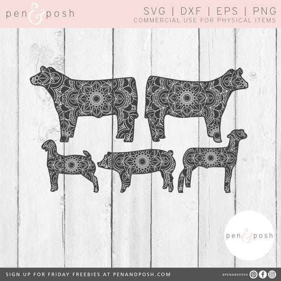 Download Show Animals Svg Show Pig Svg Show Goat Svg Show Lamb Etsy