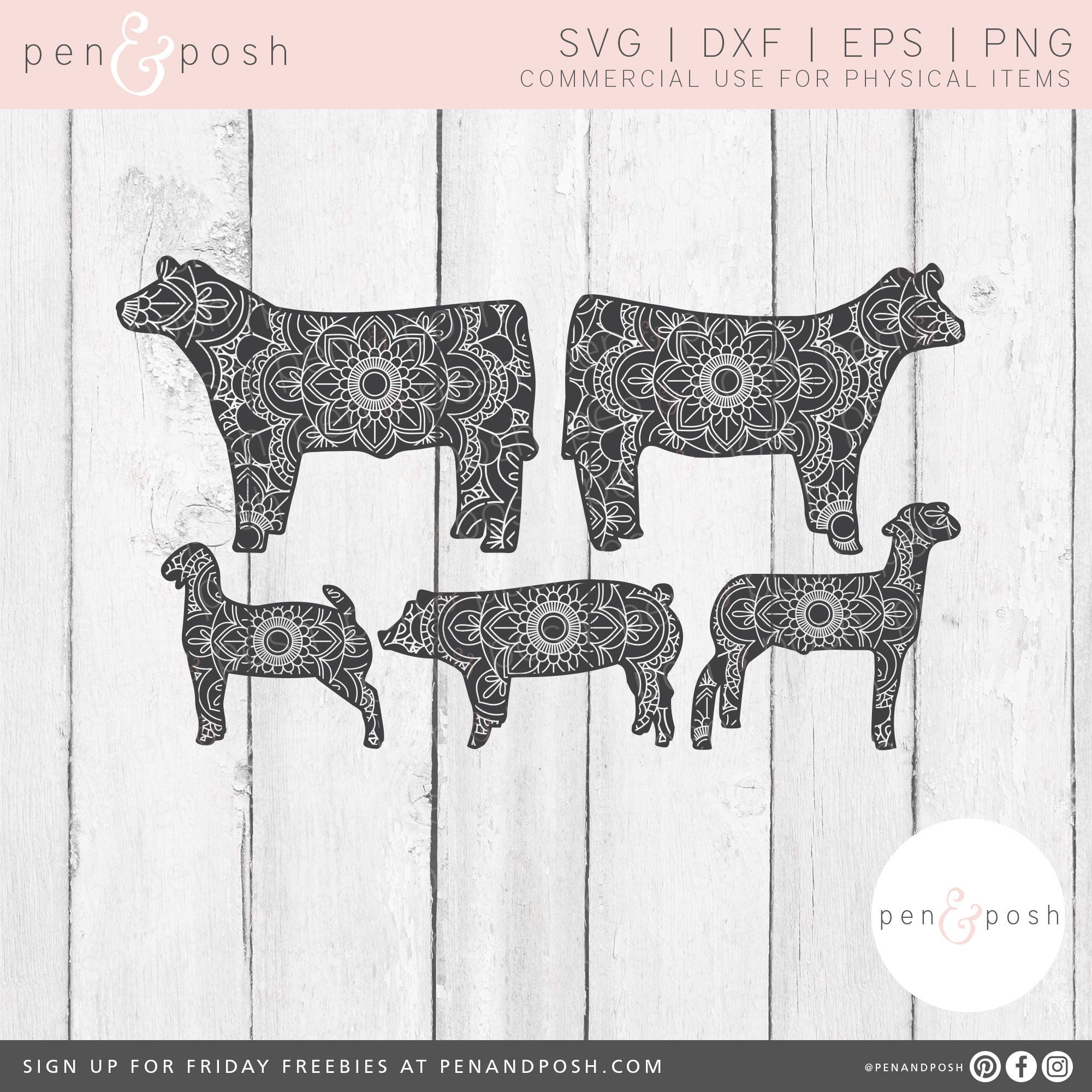 Download Zentangle Show Pig Svg Mandala Animal