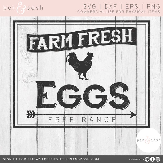 Download Farm Fresh Eggs Svg Farm Fresh Svg Fresh Eggs Svg Eggs Etsy PSD Mockup Templates