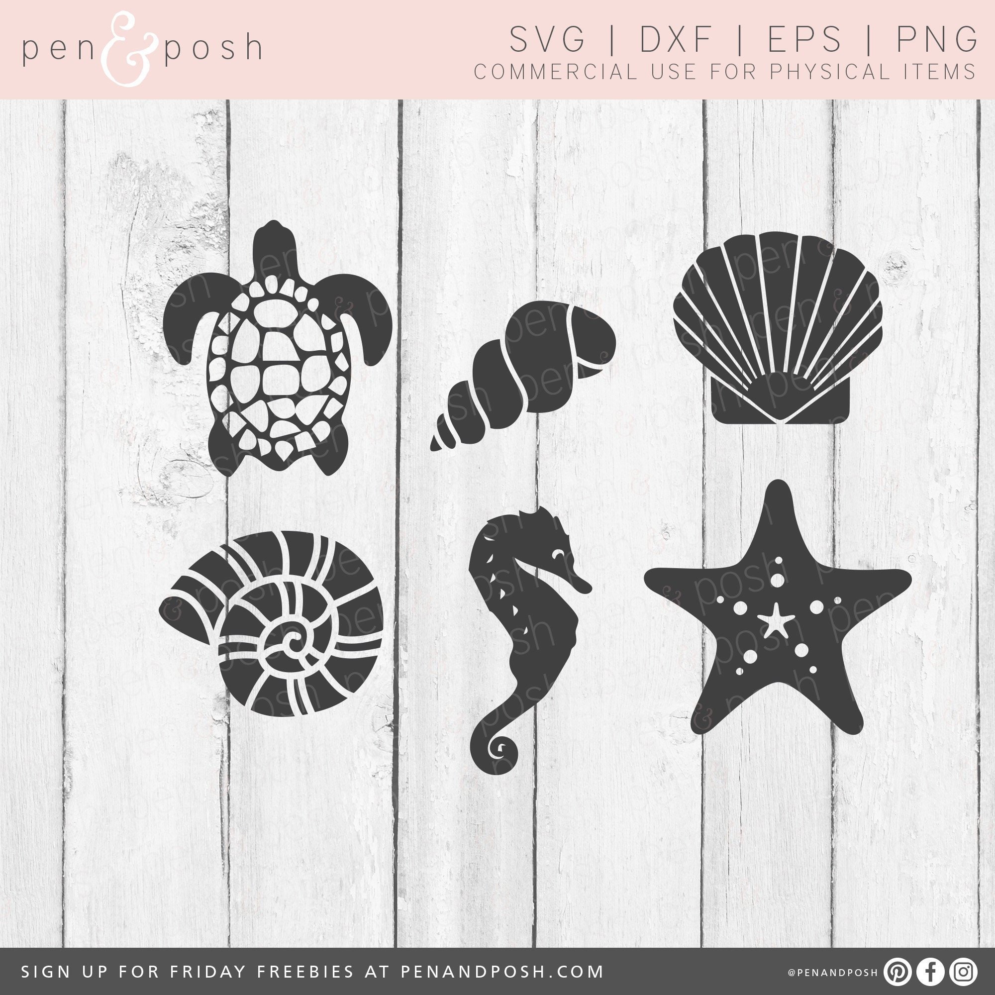 Download Sea SVG Sea Shells SVG Beach SVG Summer Sea Life Shell | Etsy
