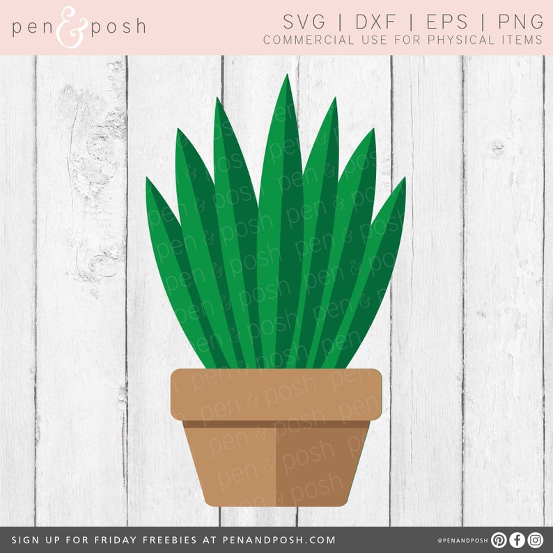 Download 3d Succulent SVG 3d Succulent Cactus Svg Cricut 3d 3d | Etsy
