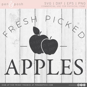 Fresh Picked Apples SVG - Apple Pickin Clipart - Apple Clipart - Kitchen Svg - Farmhouse Svg - Fresh Picked Svg - Apple Vector - Apple SVG
