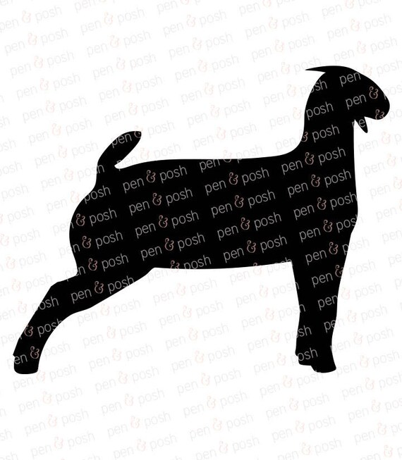 Free Free 280 Silhouette Baby Goat Svg SVG PNG EPS DXF File