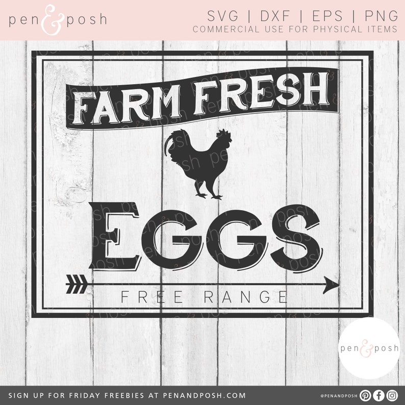 Farm Fresh Eggs SVG Farm Fresh SVG Fresh Eggs SVG Eggs Svg Farm Fresh Sign Farm Fresh Eggs Clipart Farm Fresh Eggs image 1