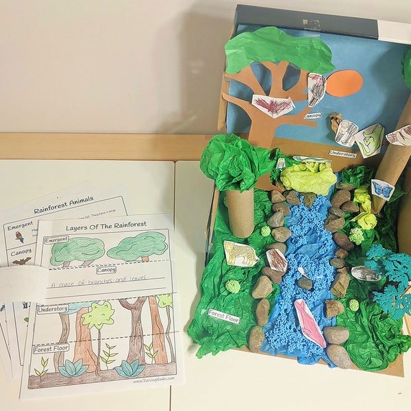Rainforest Diorama & Resources - educational, jungle, ecosystem, project, learning resources, printables, homeschool or classroom activity