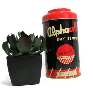 May include: A black and red vintage tin container with the text "Alphacolor Dry Tempera Weber Costello Chicago Heights, Ill." and a red and white striped design. A small potted succulent plant is in the foreground.
