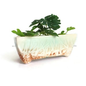May include: A light green ceramic planter with a textured design of grass and a brown base. The planter is shaped like a trough and has four small feet. A small green plant is growing in the planter.