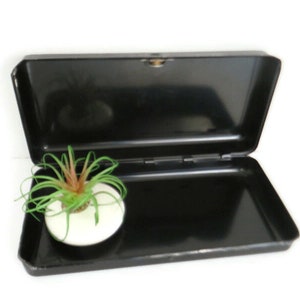 May include: Black metal box with a hinged lid, open to reveal the interior. A small green plant is sitting inside the box.