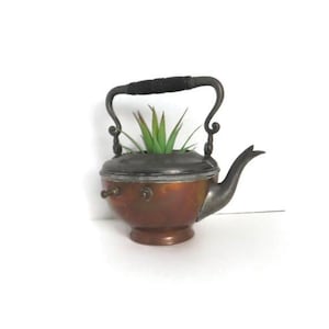 May include: A vintage copper teapot with a pewter lid and a black handle. The teapot is being used as a planter for a small succulent plant.